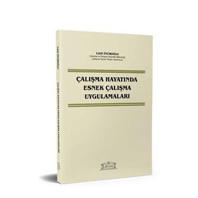 ÇALIŞMA HAYATINDA ESNEK ÇALIŞMA UYGULAMALARI - LÜTFİ İNCİROĞLU