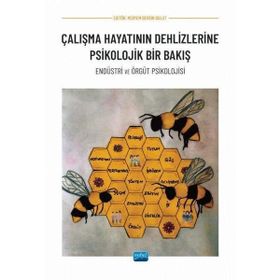 Çalışma Hayatının Dehlizlerine Psikolojik Bir Bakış Meryem Berrin Bulut Nobel Akademik Yayıncılık