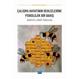 Çalışma Hayatının Dehlizlerine Psikolojik Bir Bakış Meryem Berrin Bulut Nobel Akademik Yayıncılık