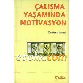ÇALIŞMA YAŞAMINDA MOTIVASYON - AŞKIN KESER