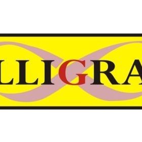 Calligraph 1270D 1515D MP160 Muadil Toner