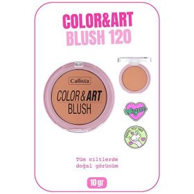 Callista Color Art Blush No:120 So Peachy Allık