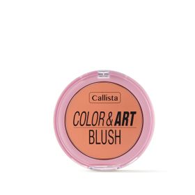 Callista Color Art Blush No:120 So Peachy Allık