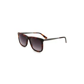 Calvin Klein CK 22536S C220 Erkek Güneş Gözlüğü