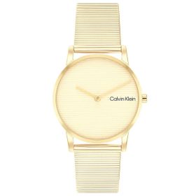 Calvin Klein CK25100035 Kadın Kol Saati