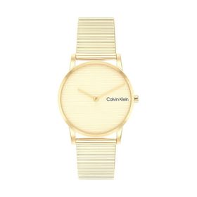 Calvin Klein CK25100035 Kadın Kol Saati