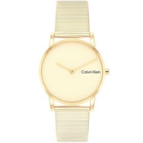 Calvin Klein CK25100035 Kadın Kol Saati