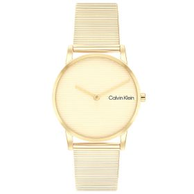 Calvin Klein CK25100035 Kadın Kol Saati