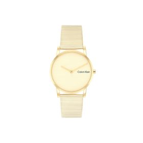 Calvin Klein CK25100035 Kadın Kol Saati