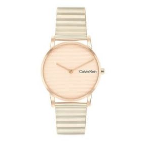 Calvin Klein CK25100036 Kadın Kol Saati