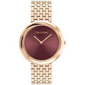 Calvin Klein CK25100067 Kadın Kol Saati