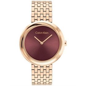 Calvin Klein CK25100067 Kadın Kol Saati