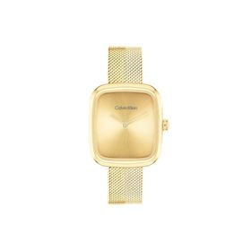 Calvin Klein CK25100099 Kadın Kol Saati