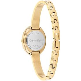 Calvin Klein Ck25100203 Kadın Kol Saati