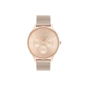Calvin Klein CK25200102 Kadın Kol Saati