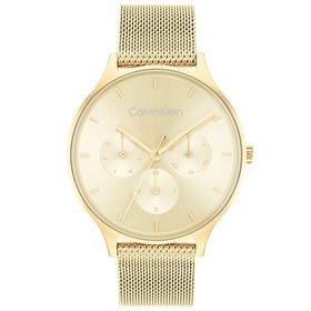 Calvin Klein CK25200103 Kadın Kol Saati