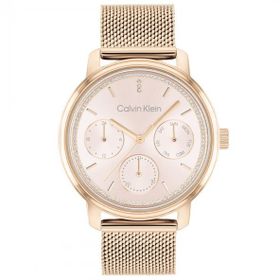 Calvin Klein CK25200179 Kadın Kol Saati