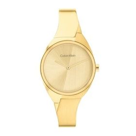 Calvin Klein CK25200235 Kadın Kol Saati