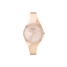 Calvin Klein CK25200236 Kadın Kol Saati