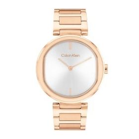 Calvin Klein CK25200253 Kadın Kol Saati
