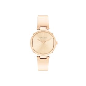 Calvin Klein CK25200308 Kadın Kol Saati