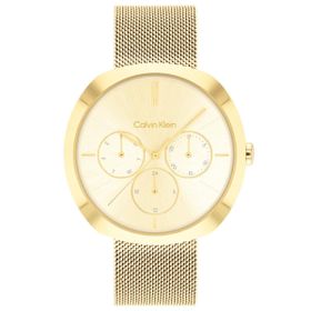 Calvin Klein CK25200339 Kadın Kol Saati
