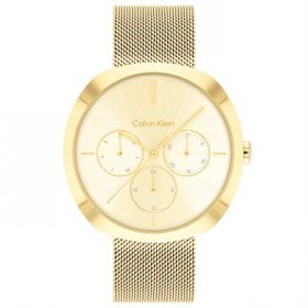 Calvin Klein CK25200339 Kadın Kol Saati