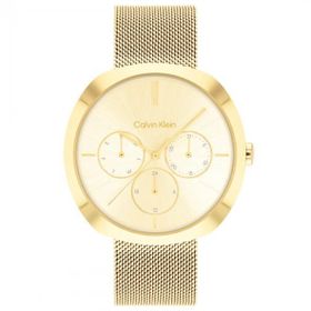 Calvin Klein CK25200339 Kadın Kol Saati