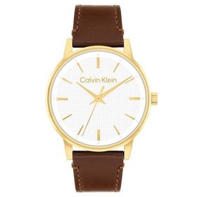 Calvin Klein CK25200503 Erkek Kol Saati