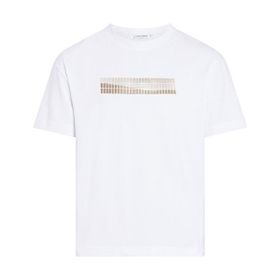 Calvin Klein Grid Graphic Beyaz Erkek T-shirt