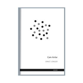 Cam Arılar - Ernst Jünger