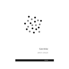 Cam Arılar - Ernst Jünger