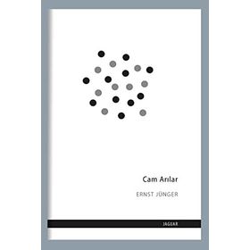 Cam Arılar - Ernst Jünger
