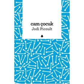 CAM ÇOCUK - JODI PICOULT