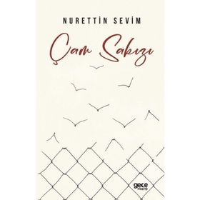 Çam Sakızı Gece Kitaplığı