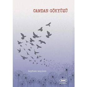 CAMDAN GÖKYÜZÜ - PETRA HAMMESFAHR