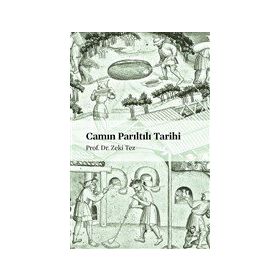 Camın Parıltılı Tarihi - Zeki Tez