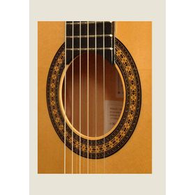 Camps FL11C PRO-BLEND Elektro Klasik Gitar