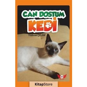 Can Dostum Kedi - Yıldırım Çelebi