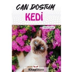 Can Dostum Kedi - Yıldırım Çelebi