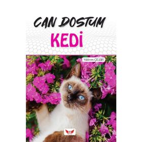 Can Dostum Kedi - Yıldırım Çelebi
