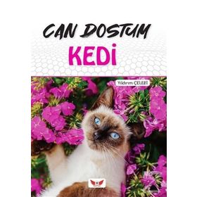 Can Dostum Kedi - Yıldırım Çelebi