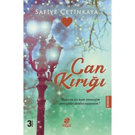 CAN KIRIĞI - SENAI DEMIRCI