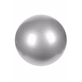 Can Sport 65 cm Pilates Topu
