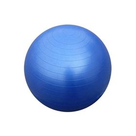 Can Sport 65 cm Pilates Topu