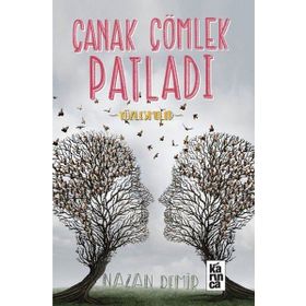 Çanak Çömlek Patladı - Nazan Demir