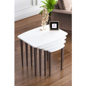 Canisa Concept Anka 4'lü Beyaz Zigon Sehpa Takımı
