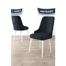 Canisa Concept Enoa Serisi Beyaz Gürgen Ayaklı 1.Sınıf Babyface Kumaş Gold Halkalı Antrasit Sandalye