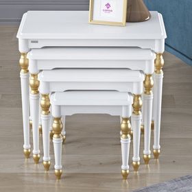 Canisa Concept Saray MDF ve Lake Boya Avangart 4'lü Zigon Sehpa Takımı