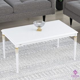 Canisa Concept Zeyra MDF ve Lake Boya Orta Sehpa